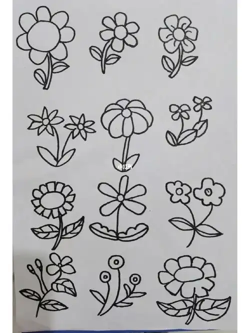 简笔画植物花朵