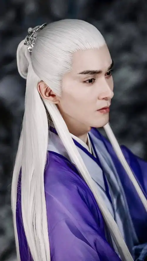 高伟光东华帝君