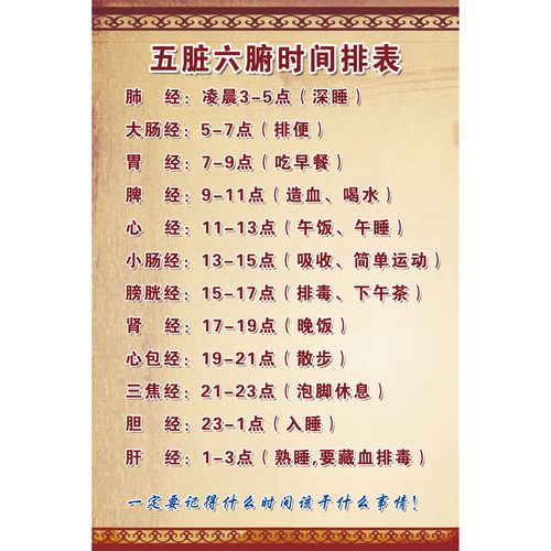 五脏六腑时间排表五脏心肝脾肺肾六腑胆胃大肠小肠膀胱三焦海报