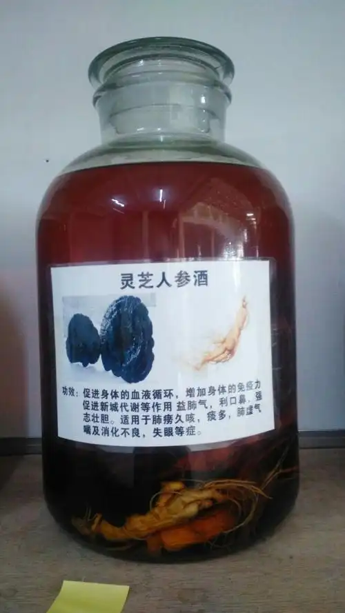 人参灵芝酒有健脾养肾的功效有很多首先适当的饮用