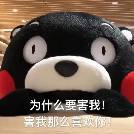 熊本熊土味情话为什么要害我喜欢你撩gif动图_动态图_表情包下载_soo