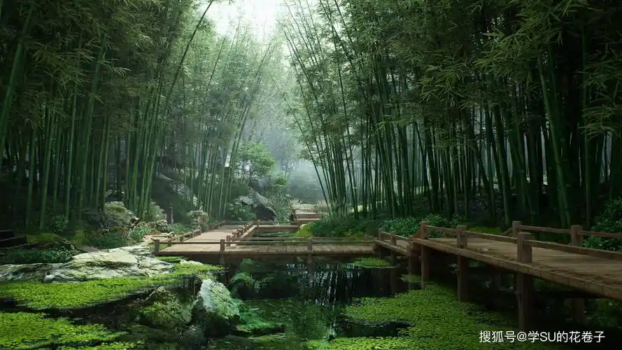 园林景观设计五大植物原则,效果图参考_树种_统一_项目