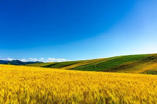 秋天带着丰收来了