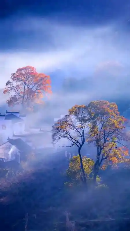 大自然美景喜欢安静不孤独的我