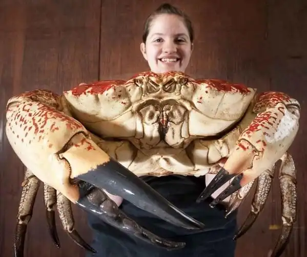 7个看起来超级恐怖的变异生物,看到最后一个不自觉的流起口水!