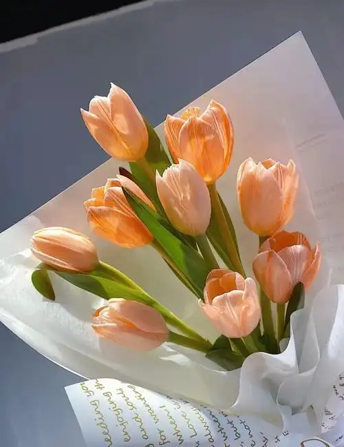 治愈系背景图我会喜欢到你不需要我为止59505951516658