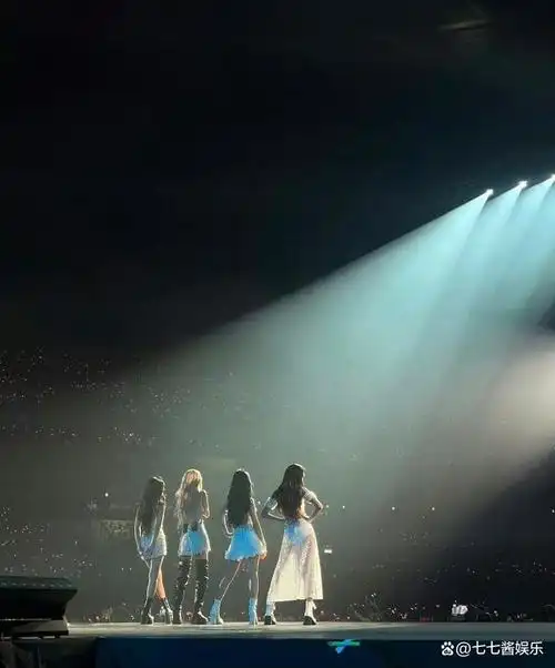 最近,blackpink成员lisa在社交媒体上晒出了一张blackpink巡演的背影