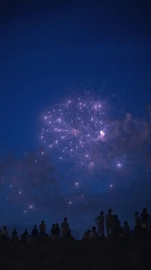 唯美烟花夜景高清手机壁纸