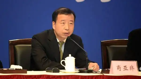 东莞市市长肖亚非发挥自身独特优势助推大湾区高质量发展