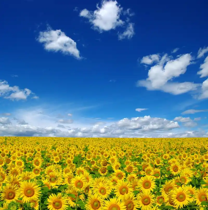 教学路上,温暖前行,互相成就