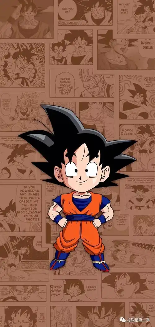 七龙珠壁纸:悟空与布玛