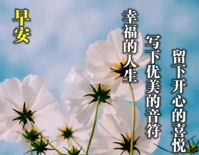 2021年早上好问候语图片表情大全 早上好祝福短句唯美图片