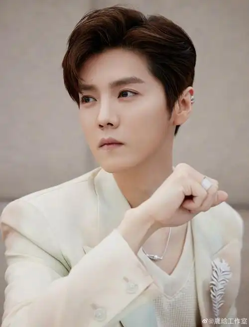 鹿晗出道十周年要出黑胶专辑了聆听来自歌手鹿晗