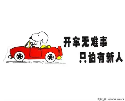 开车无难事只怕有新人