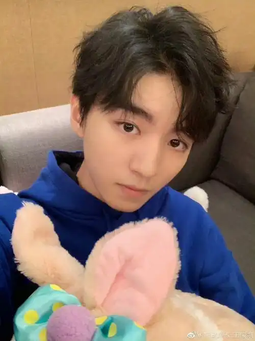 王俊凯你别把我可爱鼠和星黛露的合照和兔子玩偶的合照粉色的兔子风扇