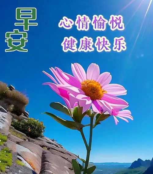 4月22日早安漂亮图片问候祝福语|快乐|清晨|幸福|好心情|早上好_网易