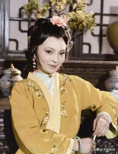 红楼梦演员表介绍(87版红楼梦中的众位演员如今怎么样了)-鸥勇号