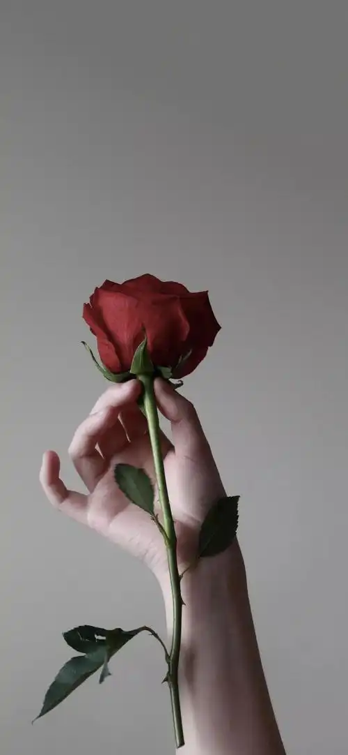 个性好看的全面屏壁纸