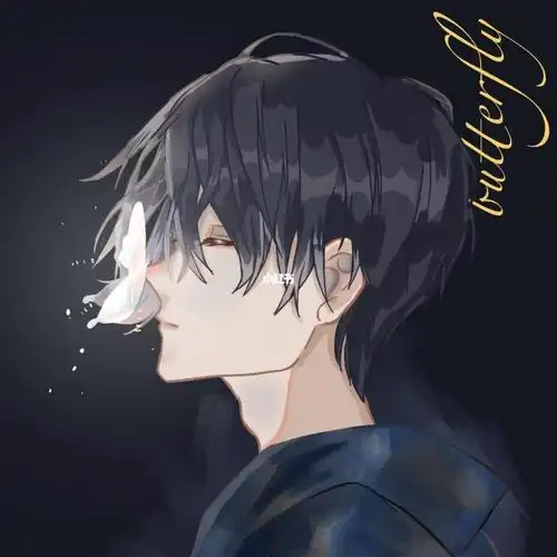 【瓶邪】蝴蝶少年_盗墓笔记_头像_瓶邪_素材_头像