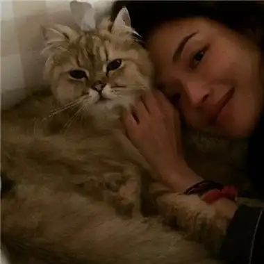 随性烂漫的美舒淇超美超有氛围感头像合集 这就是松弛感大美女吧