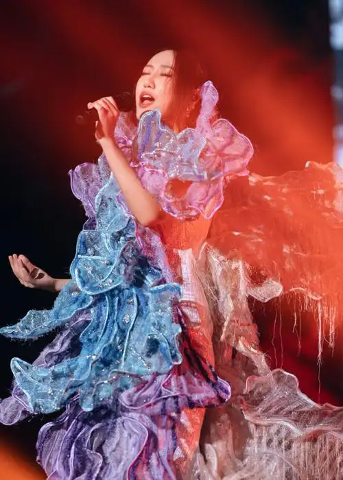 陈粒洄游全国巡回演唱会