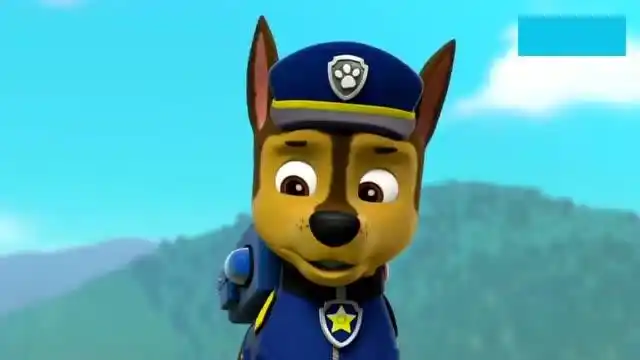 汪汪队立大功:阿奇的侦查能力真的太棒了