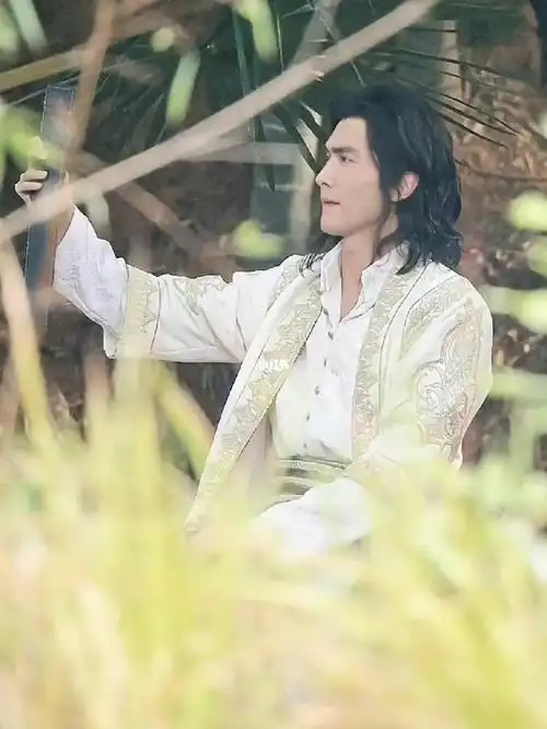 一只爱上高伟光的人鱼