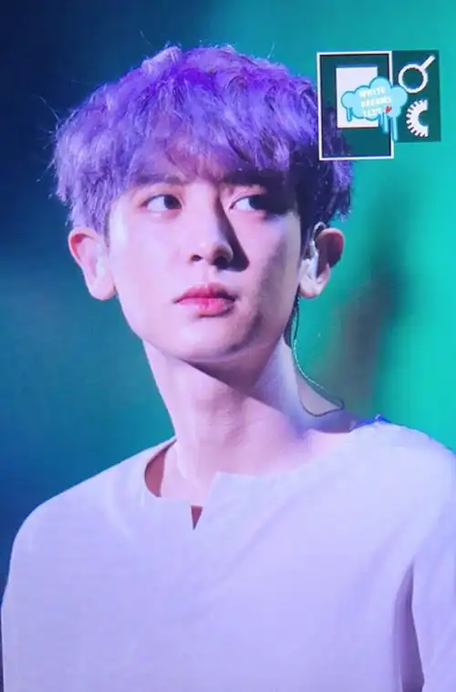 exo 新闻 和之前韩国日本举行的sm家族演唱会节目相同,灿烈和wendy为