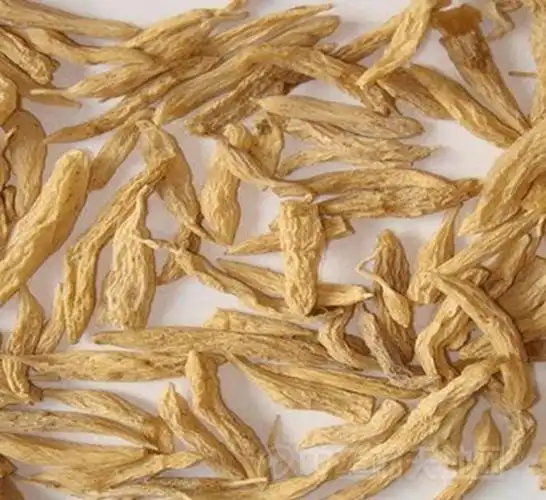 麦冬,山麦冬系列的鉴别辨点