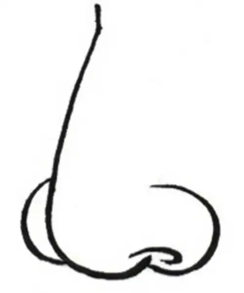 宝宝画鼻子简笔画简易简笔画鼻子嘴巴的画法简笔画佳兆业中心攻略文化