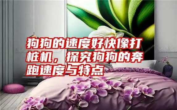狗狗的速度好快像打桩机,探究狗狗的奔跑速度与特点