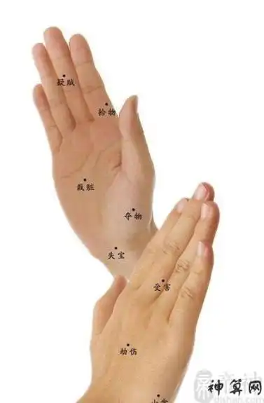 右手有痣代表什么,右手痣相图解大全-神算网
