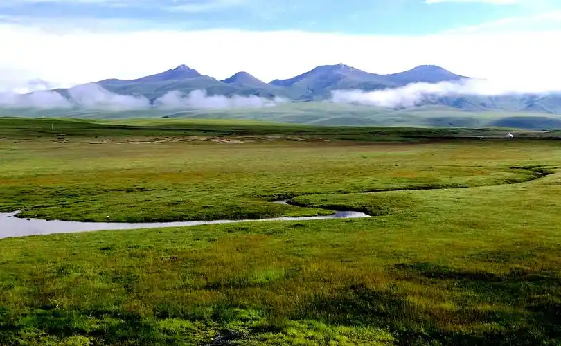 天山中段南麓腹地,是全国最大高山高寒草原所在地