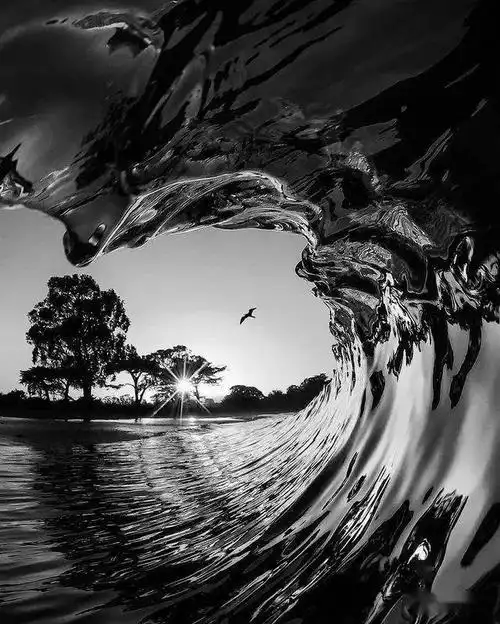 别有意境的黑白风景