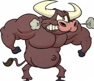 电脑壁纸图片风景动漫人物动物