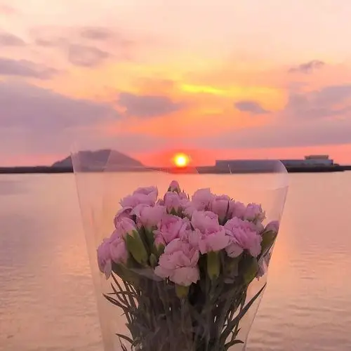 唐崎夜雨 唯美花朵朋友圈背景