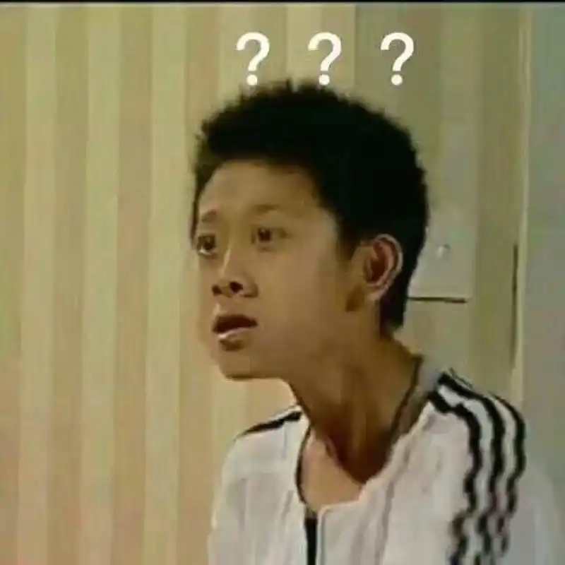 家有儿女问号脸刘星表情包