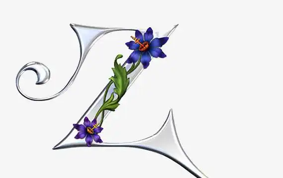 l素材免费下载_觅元素