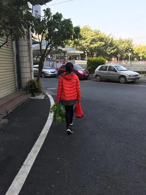 拎着2大袋菜回家,真重啊!老妈狠心的一点忙都不帮!