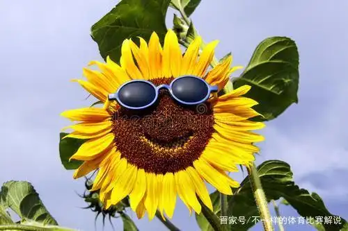 微笑能带给我们五大好处.朋友,你今天微笑了吗?