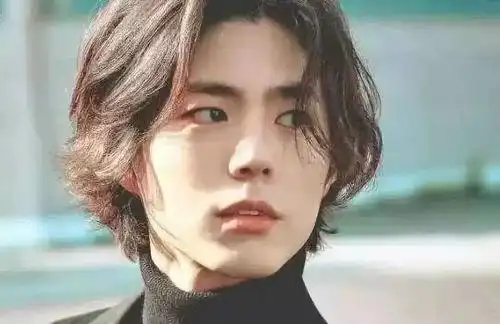 男生留长发有几种发型图片,男生留长发有几种发型扎辫子_竞价网