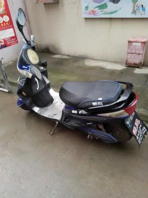 48v20a爱玛电动车