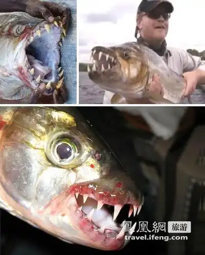 探秘食人水怪吃人不吐骨头的凶残杀手