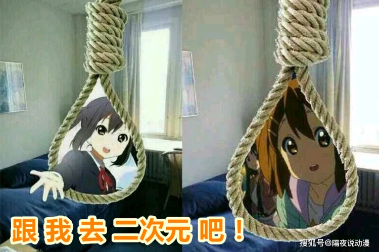 对二次元的最大偏见,都藏在"二刺螈"和"反二次元"贴吧里了