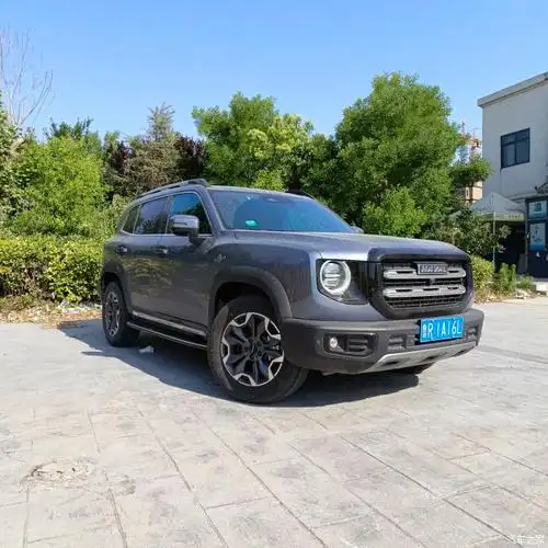 你们觉得大狗怎么改色好看