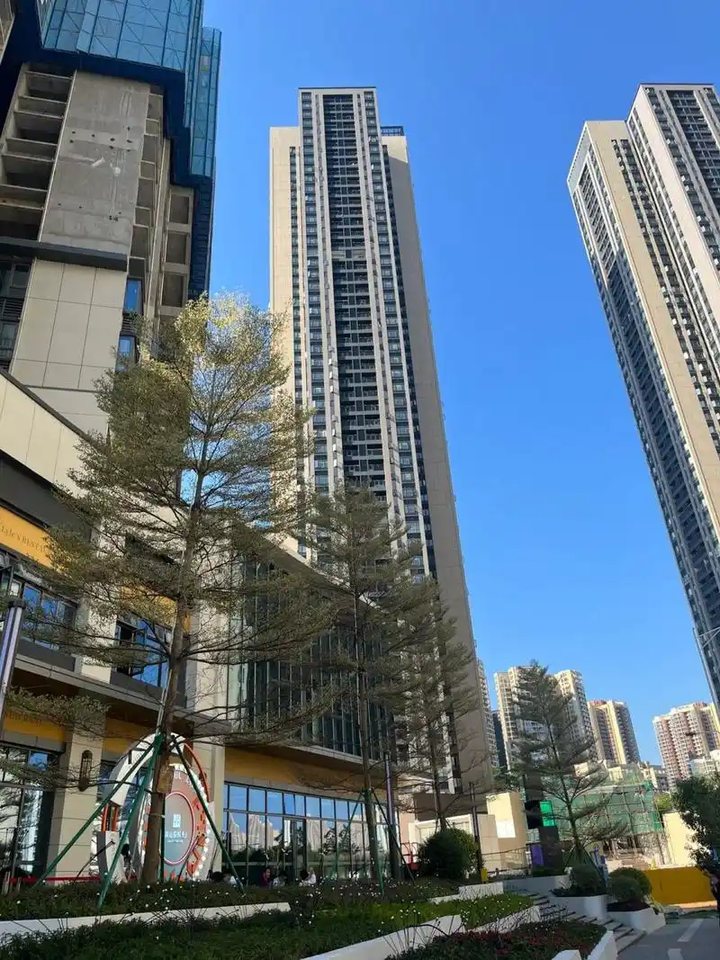 南山悦时光花园,一个鸡贼的开发商 项目位于龙岗区宝龙街道,70年产权