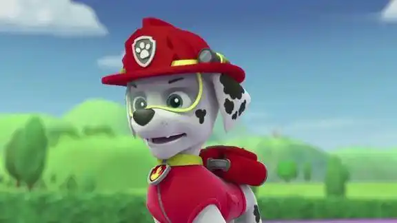 汪汪队立大功毛毛破纪录的时候遇到突发状况但还是得到奖杯了