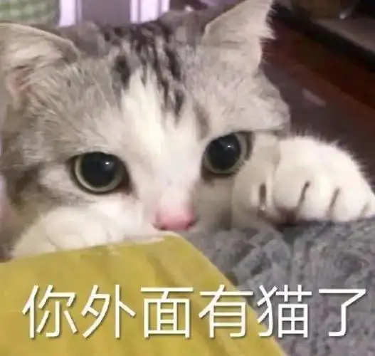 斗图表情包:扫黄统统抱头蹲下 拿图请顺便吱一声 很难有动力发图了