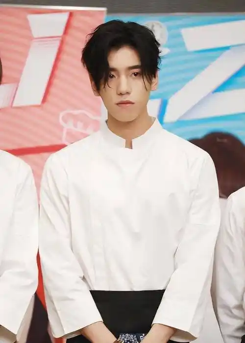 王子异刚出道成名时,就以独特的外貌着称;她在年轻一代观众心中留下了