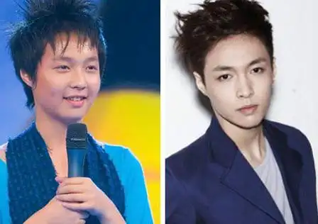 明星整容丧心病狂,八一八他们整容前的样子